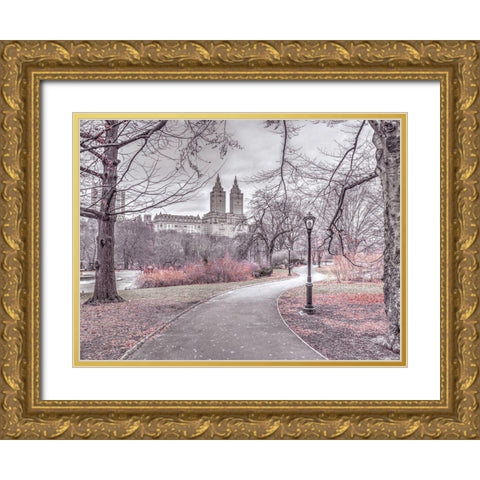 Pathway through Central park-New York Gold Ornate Wood Framed Art Print with Double Matting by Frank, Assaf