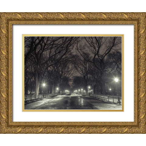 Central park with Manhattan skyline, New York Gold Ornate Wood Framed Art Print with Double Matting by Frank, Assaf