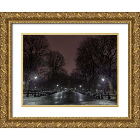 Central park at night, New York Gold Ornate Wood Framed Art Print with Double Matting by Frank, Assaf
