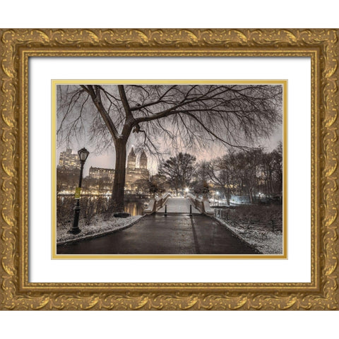 Evening view of Central park-New York Gold Ornate Wood Framed Art Print with Double Matting by Frank, Assaf