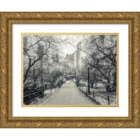 Pathway through Central park, New York Gold Ornate Wood Framed Art Print with Double Matting by Frank, Assaf