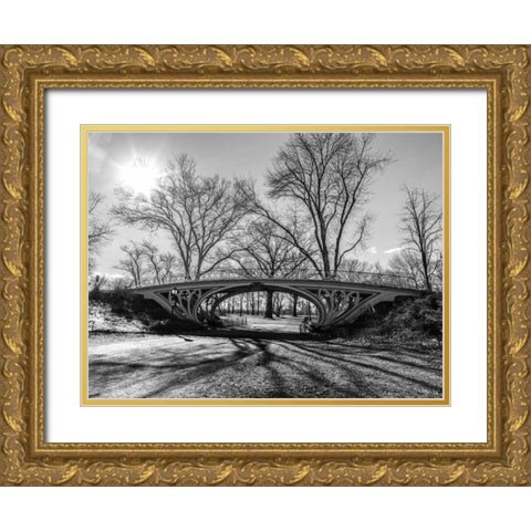 Walkway bridge in Central park, New York, FTBR-1920 Gold Ornate Wood Framed Art Print with Double Matting by Frank, Assaf