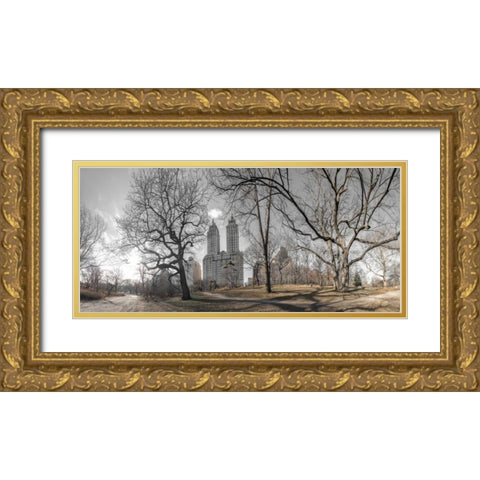Lower Manhattan cityscape from Central park, New York Gold Ornate Wood Framed Art Print with Double Matting by Frank, Assaf