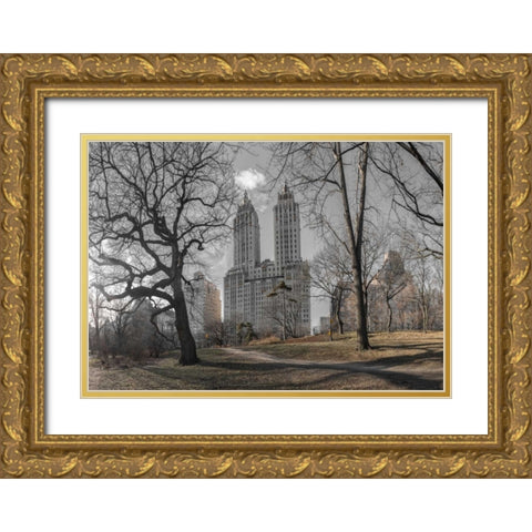 Lower Manhattan cityscape from Central park, New York Gold Ornate Wood Framed Art Print with Double Matting by Frank, Assaf