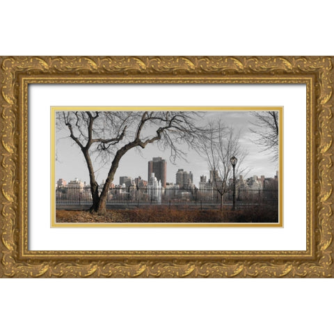 Lower Manhattan cityscape from Central park, New York Gold Ornate Wood Framed Art Print with Double Matting by Frank, Assaf