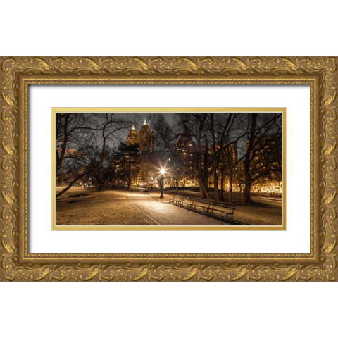 Central park in evening, New York Gold Ornate Wood Framed Art Print with Double Matting by Frank, Assaf