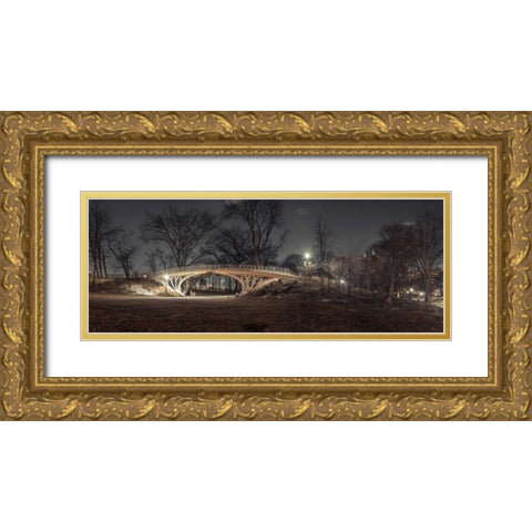 Central park in evening, New York Gold Ornate Wood Framed Art Print with Double Matting by Frank, Assaf
