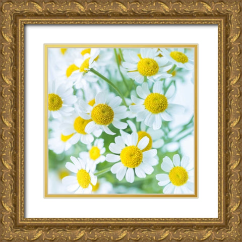 Bunch of colorful Roses in a jar Gold Ornate Wood Framed Art Print with Double Matting by Frank, Assaf