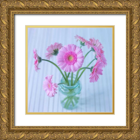 White Daisies in studio Gold Ornate Wood Framed Art Print with Double Matting by Frank, Assaf