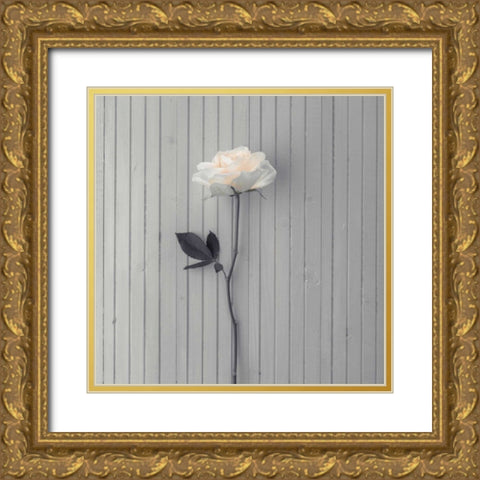 Rose on table Gold Ornate Wood Framed Art Print with Double Matting by Frank, Assaf