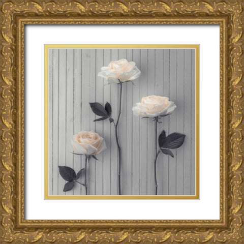 Roses in a row on table Gold Ornate Wood Framed Art Print with Double Matting by Frank, Assaf