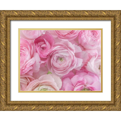 Bunch of Ranuncuclus Gold Ornate Wood Framed Art Print with Double Matting by Frank, Assaf