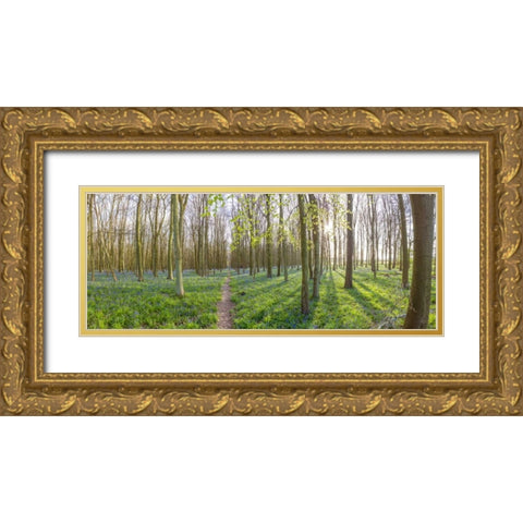 Spring forest with tall trees Gold Ornate Wood Framed Art Print with Double Matting by Frank, Assaf