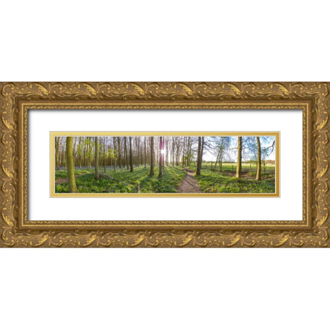 Spring forest with tall trees Gold Ornate Wood Framed Art Print with Double Matting by Frank, Assaf