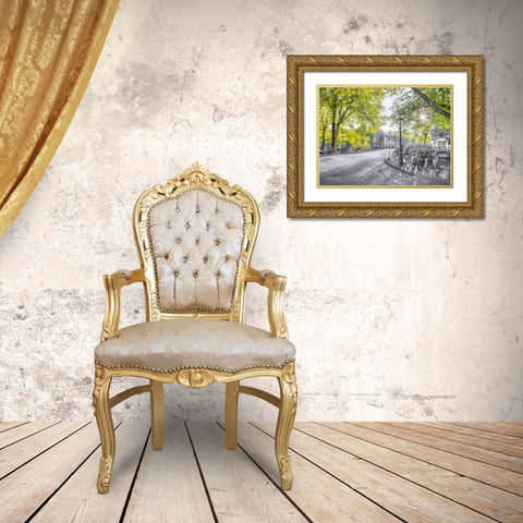 Amsterdam city street Gold Ornate Wood Framed Art Print with Double Matting by Frank, Assaf