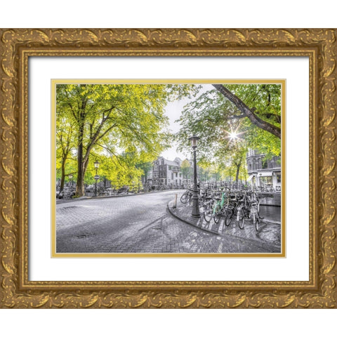 Amsterdam city street Gold Ornate Wood Framed Art Print with Double Matting by Frank, Assaf