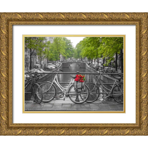 Bicycle with bunch of flowers by the canal, Amsterdam Gold Ornate Wood Framed Art Print with Double Matting by Frank, Assaf