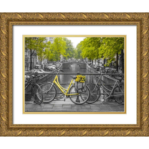 Bicycle with bunch of flowers by the canal, Amsterdam Gold Ornate Wood Framed Art Print with Double Matting by Frank, Assaf