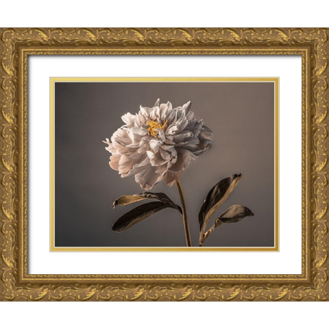 Peony flower Gold Ornate Wood Framed Art Print with Double Matting by Frank, Assaf