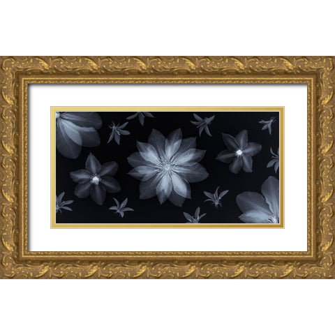 Clematis flowers Gold Ornate Wood Framed Art Print with Double Matting by Frank, Assaf