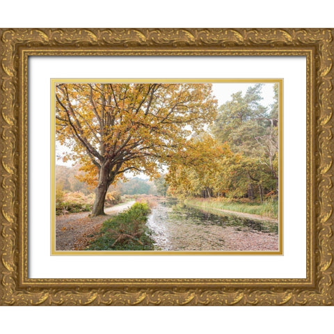 Basingstoke Canal Gold Ornate Wood Framed Art Print with Double Matting by Frank, Assaf
