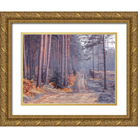 Road through Autumn forest Gold Ornate Wood Framed Art Print with Double Matting by Frank, Assaf