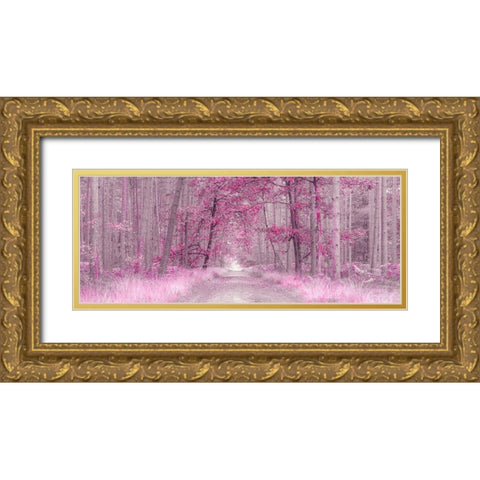 Pathway through Autumn forest, FTBR 1843 Gold Ornate Wood Framed Art Print with Double Matting by Frank, Assaf