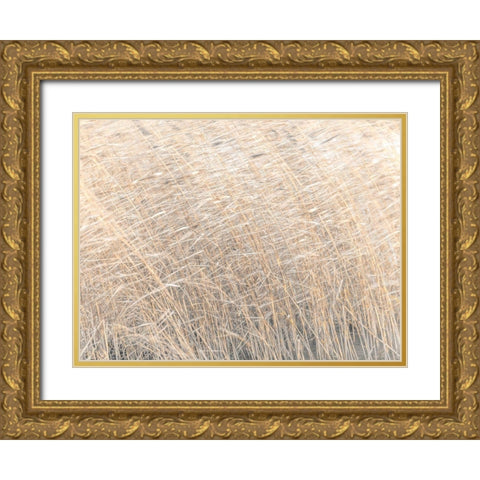 Brown reeds growing in water Gold Ornate Wood Framed Art Print with Double Matting by Frank, Assaf
