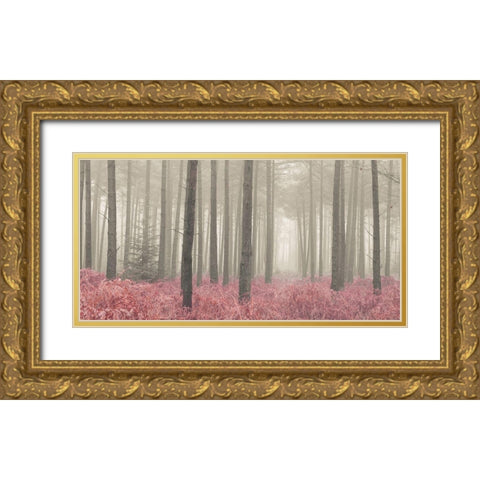 Misty forest with tall trees and foliage, FTBR 1845 Gold Ornate Wood Framed Art Print with Double Matting by Frank, Assaf