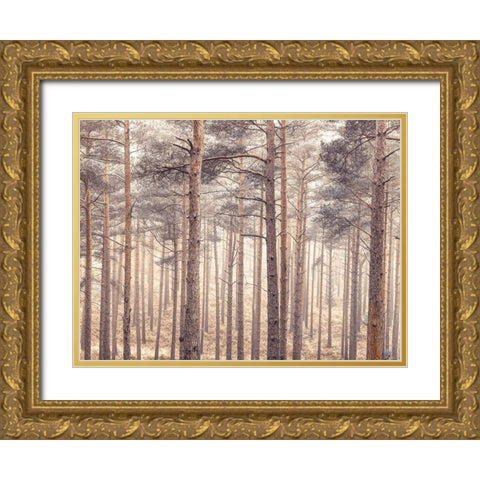 Misty forest with tall trees Gold Ornate Wood Framed Art Print with Double Matting by Frank, Assaf
