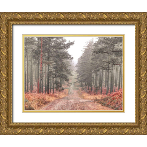 Pathway through misty forest, FTBR 1847 Gold Ornate Wood Framed Art Print with Double Matting by Frank, Assaf