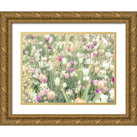 Colorful Tulip flowers Gold Ornate Wood Framed Art Print with Double Matting by Frank, Assaf