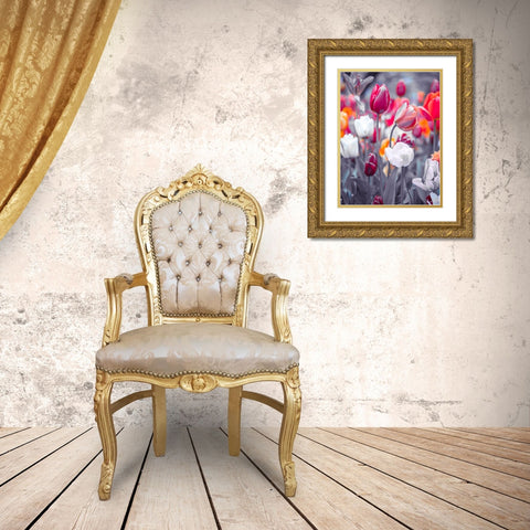 Colorful Tulip flowers Gold Ornate Wood Framed Art Print with Double Matting by Frank, Assaf