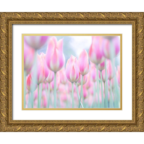 Colorful Tulip flowers Gold Ornate Wood Framed Art Print with Double Matting by Frank, Assaf