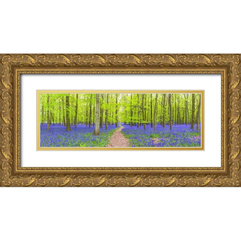 Bluebells Gold Ornate Wood Framed Art Print with Double Matting by Frank, Assaf