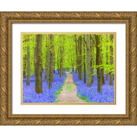 Bluebell path Gold Ornate Wood Framed Art Print with Double Matting by Frank, Assaf