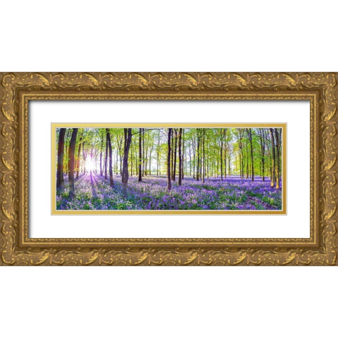 Bluebells Gold Ornate Wood Framed Art Print with Double Matting by Frank, Assaf