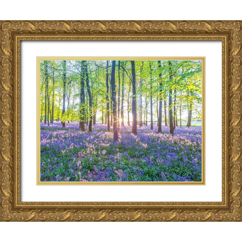 Bluebells Gold Ornate Wood Framed Art Print with Double Matting by Frank, Assaf