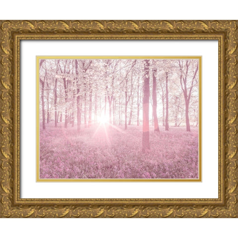 Bluebells in pink Gold Ornate Wood Framed Art Print with Double Matting by Frank, Assaf