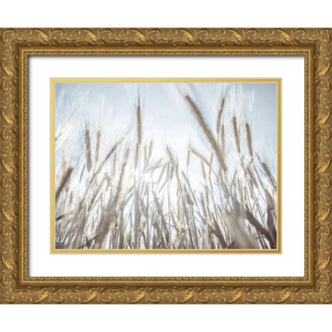 Sun rays through barley filed Gold Ornate Wood Framed Art Print with Double Matting by Frank, Assaf
