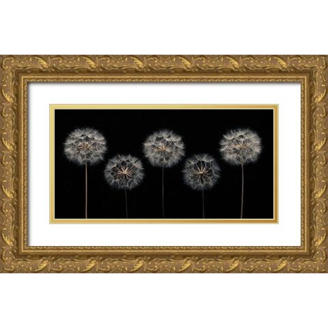 Dandelion flowers over black background Gold Ornate Wood Framed Art Print with Double Matting by Frank, Assaf