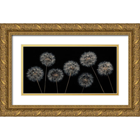 Dandelion flowers over black background Gold Ornate Wood Framed Art Print with Double Matting by Frank, Assaf