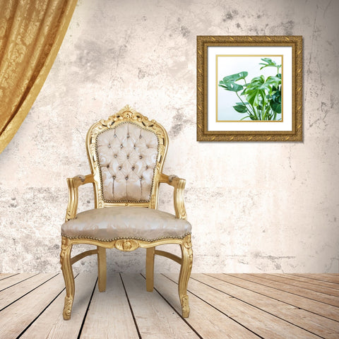 Close-up of a plant on white background Gold Ornate Wood Framed Art Print with Double Matting by Frank, Assaf