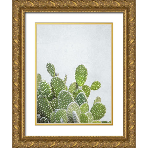Cactus plant Gold Ornate Wood Framed Art Print with Double Matting by Frank, Assaf