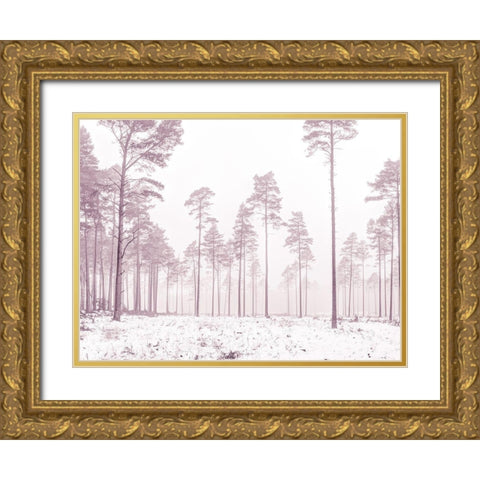 Snowy forest in winter Gold Ornate Wood Framed Art Print with Double Matting by Frank, Assaf