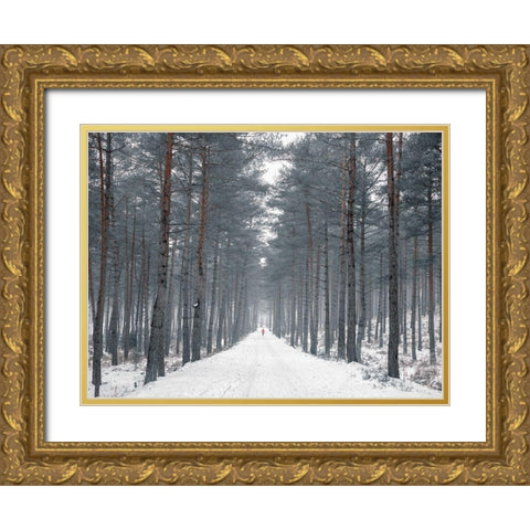 Pathway through snowy forest, FTBR-1912 Gold Ornate Wood Framed Art Print with Double Matting by Frank, Assaf