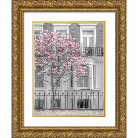 Magnolia tree outside house in London Gold Ornate Wood Framed Art Print with Double Matting by Frank, Assaf