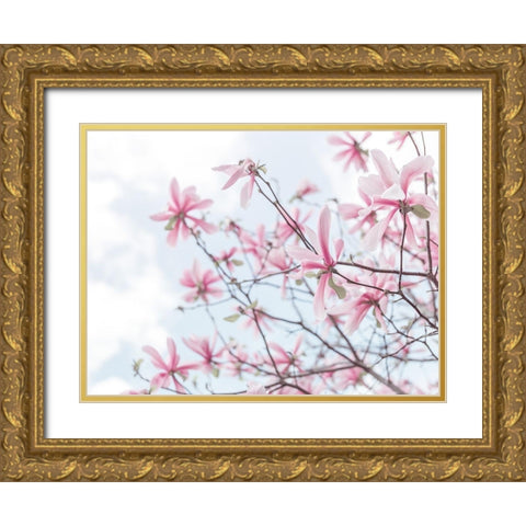 Magnolias against sky Gold Ornate Wood Framed Art Print with Double Matting by Frank, Assaf