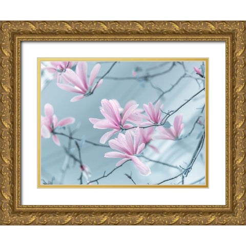 Magnolia flowers Gold Ornate Wood Framed Art Print with Double Matting by Frank, Assaf