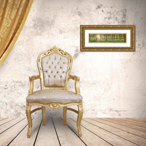 Sun rays through trees Gold Ornate Wood Framed Art Print with Double Matting by Frank, Assaf